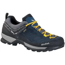 Ботинки для треккинга Salewa Ms Mtn Trainer Gtx мужские