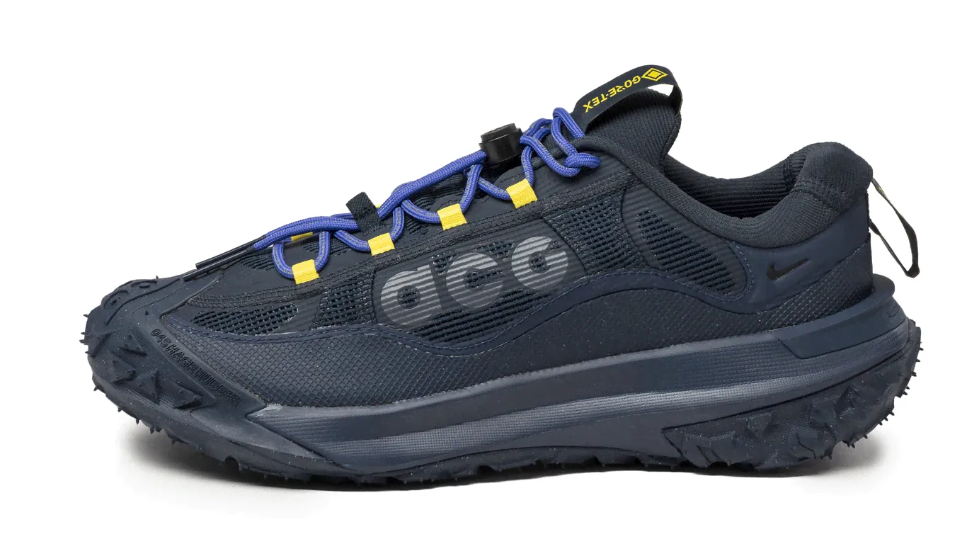 Nike ACG Mountain Fly 2 Low *GTX*-0