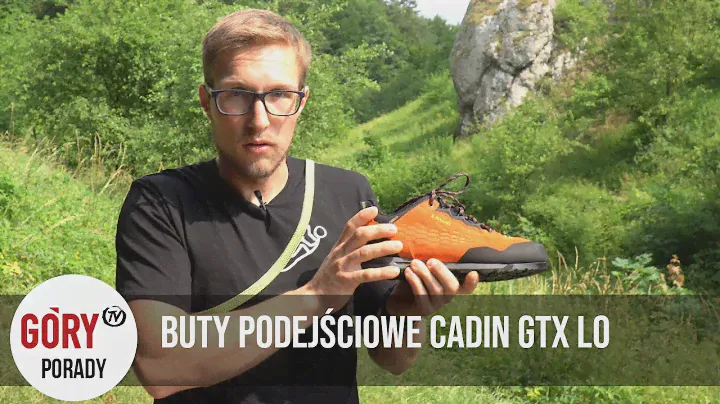 GÓRY polecają - buty  Cadin GTX Lo marki LOWA