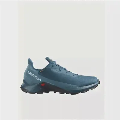 Беговые кроссовки Salomon Alphacross 3 Gtx Deep Lichen G (UK:11) 101902914869 (зелёный, lpn22448583)