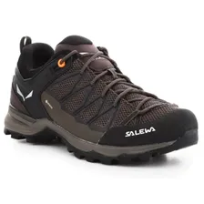 Ботинки Salewa Mtn Trainer Lite GTX M 61361-7512