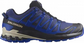 Кроссовки мужские Salomon Xa Pro 3D V9 Gtx Bluepr/Surf W/Lap