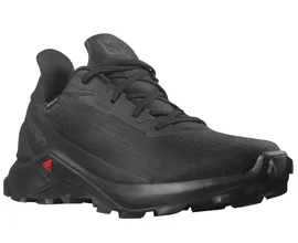 Кроссовки SALOMON ALPHACROSS 3 GTX L41446600