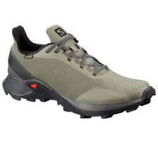 Кроссовки мужские SALOMON ALPHACROSS GTX