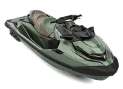 GTX LIMITED 300 — METALLIC SAGE (PREMIUM) 2022