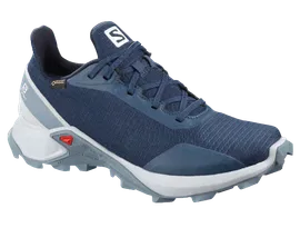 Кроссовки SALOMON ALPHACROSS GTX W 408058