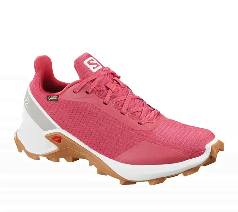 Salomon Salomon Alphacross GTX W женские