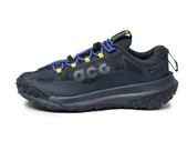 Nike ACG Mountain Fly 2 Low *GTX*