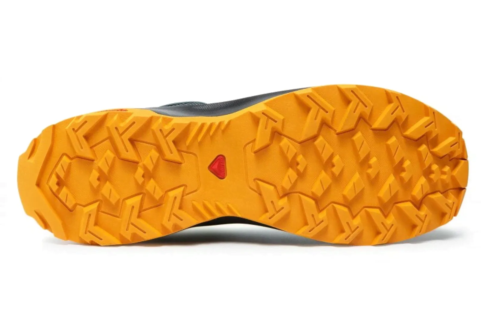 CUSTER GTX-1