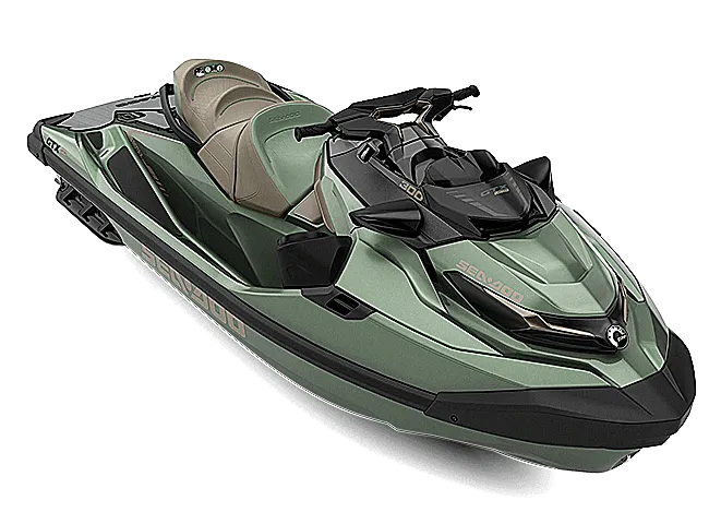 GTX LIMITED 300 — METALLIC SAGE (PREMIUM) 2022-0