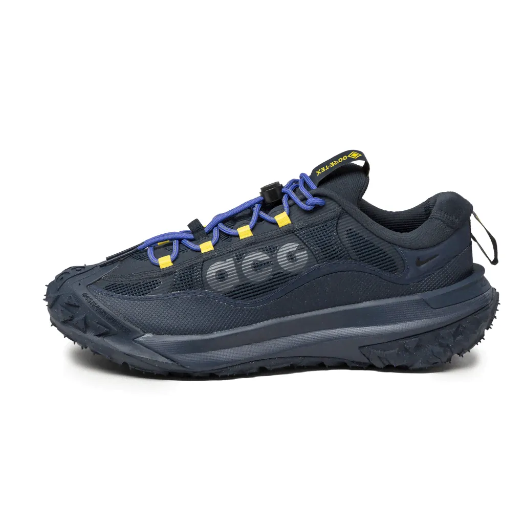Nike ACG Mountain Fly 2 Low *GTX*-1