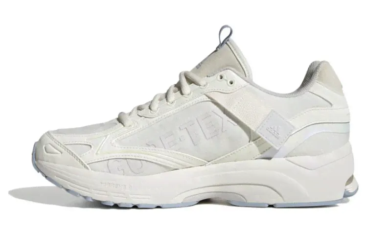 Кроссовки Adidas Spiritain 2000 Gtx (Женская размерная сетка)